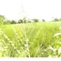  Land for sale at Eswarnagar Herga Village, Mundargi, Gadag