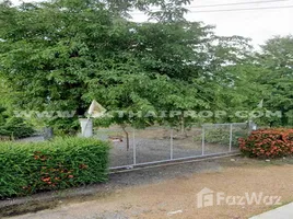 ขายที่ดิน ใน วังสำโรง, พิจิตร, วังสำโรง