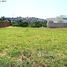  Land for sale in Brazil, Fernando De Noronha, Fernando De Noronha, Rio Grande do Norte, Brazil