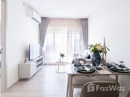 Appartement 1 chambre à louer à Origin Place Bangna, Bang Na, Bang Na, Bangkok