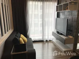 อพาร์ทเม้นท์ 1 ห้องนอน ให้เช่า ในโครงการ วายน์ สุขุมวิท, พระโขนง