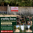  Земельный участок for sale in Suranari, Накхон Ратчасима, Suranari, Mueang Nakhon Ratchasima
