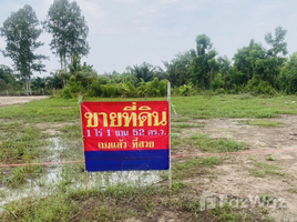在春武里出售的 土地, Mon Nang, Phanat Nikhom, 春武里