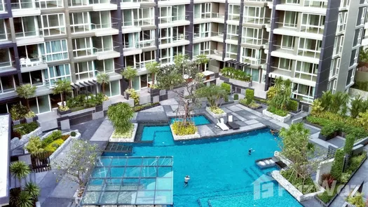 รูปถ่าย 1 of the Communal Pool at เอปัส