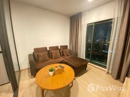 อพาร์ทเม้นท์ 1 ห้องนอน ให้เช่า ในโครงการ ไลฟ์ สุขุมวิท 48, พระโขนง