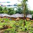 10 Bedroom House for rent in Preah Sihanouk, Pir, Sihanoukville, Preah Sihanouk