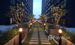 Communal Garden Area at รีเจ้นท์โฮม บางซ่อน