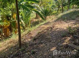 ขายที่ดิน ใน ทุ่งฝาย, ลำปาง, ทุ่งฝาย, เมืองลำปาง, ลำปาง, ไทย