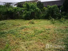  Land for sale in San Klang, San Kamphaeng, San Klang