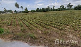 N/A Grundstück zu verkaufen in Sam Phraya, Phetchaburi 