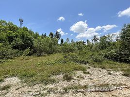  Land for sale in Narathiwat, Khok Khian, Mueang Narathiwat, Narathiwat