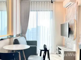 คอนโด 1 ห้องนอน ให้เช่า ในโครงการ นิว โนเบิล รัชดา - ลาดพร้าว, จันทรเกษม