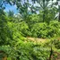  Land for sale in Suan Taeng, Chumphon, Suan Taeng, Lamae, Chumphon