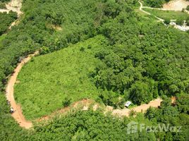  Land for sale in Thalang, Phuket, Choeng Thale, Thalang