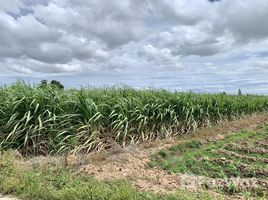  Земельный участок for sale in Таиланд, Wang Sala, Tha Muang, Kanchanaburi, Таиланд