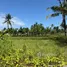 Terreno (Parcela) en venta en Blahbatu, Bali, Blahbatu, Gianyar, Bali