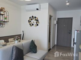 อพาร์ทเม้นท์ 1 ห้องนอน ให้เช่า ในโครงการ ศุภาลัย บลูเวล หัวหิน, หัวหิน, หัวหิน