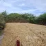  Terreno (Parcela) en venta en Tailandia, Nong Kae, Hua Hin, Prachuap Khiri Khan, Tailandia