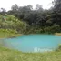  Terreno for sale in Brasil, Rio Preto da Eva, Amazonas, Brasil