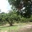 Земельный участок for sale in Nam Phrae, Чианг Маи, Nam Phrae