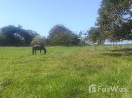  Grundstück zu verkaufen in San Lorenzo, Chiriqui, Horconcitos, San Lorenzo