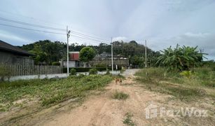 N/A Grundstück zu verkaufen in Sakhu, Phuket 