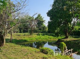  Grundstück zu verkaufen in Chiang Rai, Huai Sak, Mueang Chiang Rai, Chiang Rai