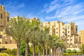 Al Thamam Real Estate Development in Al Thamam, Dubai