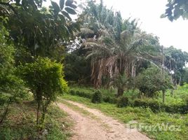 N/A Land for sale in Chang Phueak, Chiang Mai Huge Land for Sale in Chang Phuaek 