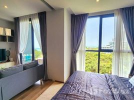 1 Bedroom Condo for rent at Andromeda Condominium, Nong Prue, Pattaya, Chon Buri, Thailand