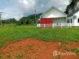 ขายที่ดิน ใน ไสไทย, กระบี่, ไสไทย