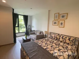 คอนโด สตูดิโอ ให้เช่า ในโครงการ เดอะ เบส เซ็นทรัล ภูเก็ต, วิชิต