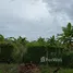  Land for sale in Chalong, Phuket, Chalong, Phuket Town, Phuket