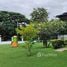 4 Bedroom House for sale in Thailand, Nong Prue, Pattaya, Chon Buri, Thailand