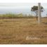  Land for sale in Limeira, Limeira, Limeira