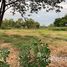  Land for sale in Thailand, Ban Mai, Pak Kret, Nonthaburi, Thailand