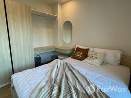 คอนโด 1 ห้องนอน ให้เช่า ในโครงการ ฟีล ภูเก็ต บาย เซนทรัล พัฒนา, วิชิต