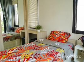 3 Schlafzimmer Reihenhaus zu verkaufen im Replay Residence & Pool Villa, Bo Phut, Koh Samui