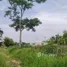  Land for sale in Khlong Sip Song, Bangkok, Khlong Sip Song, Nong Chok, Bangkok