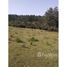  Land for sale in Taquara, Rio Grande do Sul, Taquara, Taquara