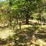  Terrain for sale in Canas, Guanacaste, Canas