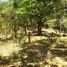  Land for sale in Canas, Guanacaste, Canas