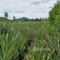  Land for sale in Hin Lek Fai, Hua Hin, Hin Lek Fai, Hua Hin