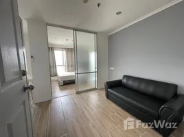 อพาร์ทเม้นท์ 1 ห้องนอน ให้เช่า ในโครงการ ลุมพินี เพลส พระราม 4-กล้วยน้ำไท, พระโขนง