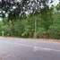  Grundstück zu verkaufen in Pa Khlok, Phuket, Pa Khlok, Thalang