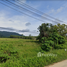  Land for sale in Pa Khlok, Thalang, Pa Khlok