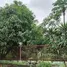 3 Bedroom House for rent at Kritsada Nakhon 10, Sao Thong Hin