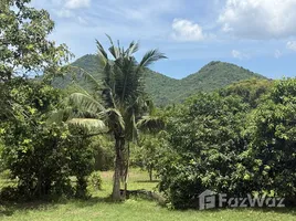  Land for sale in Thap Tai, Hua Hin, Thap Tai