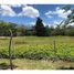  Land for sale in Cartago, Paraiso, Cartago