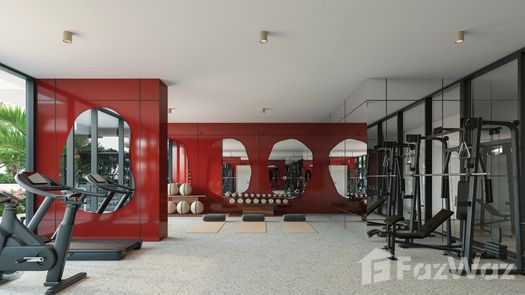 Fotos 1 of the Communal Gym at Hadley Heights